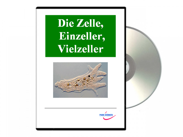 Zelle, Einzeller, Vielzeller, Mikroskopie