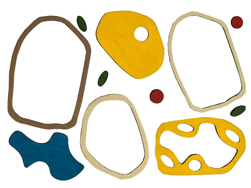 Lernpuzzle Pflanzen- und Tierzelle